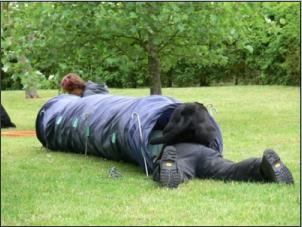 Maggy mischt alles von hinten auf.