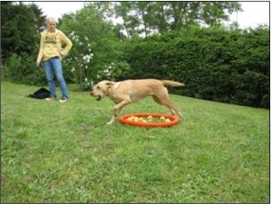 Inaite apportiert perfekt